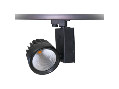 Philips Ledli 40W Monofaze Ray Spot Siyah Kasa Beyaz Ilık Işık 4000 Kelvin